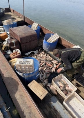 � ���������� ������ ����������� ��������� ������������� � �������������