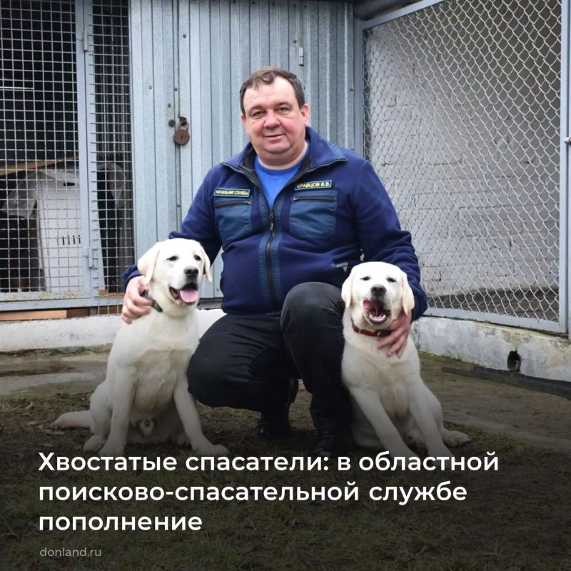 � �������������� ������ ��������� ��������-������������ ������ ����������: �� ���������� ��������� ������� ��� ��������-��������� ������