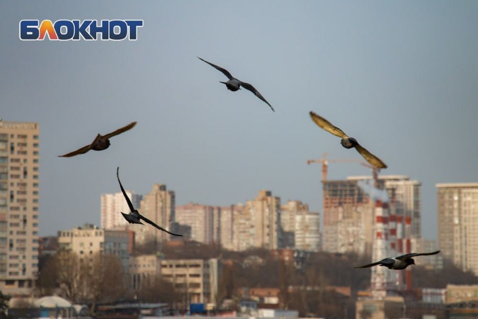 Погода 1 апреля: снова дожди