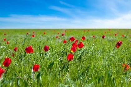 ������������� ����� � �������� ��� �������� �����: ��������� ��������� ������� � �������� 4 � 28 ������ 2026