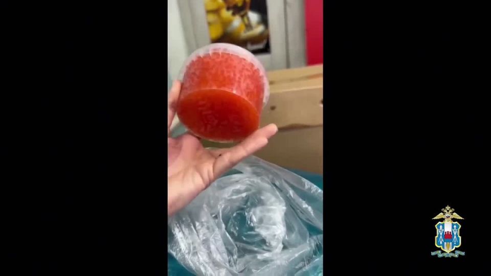 ������� ����� 100 �� ������� ���� � �����, ���������� ����������� ������ ���: ���������� �������� �������-2026� �� ������ �����