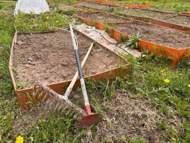 Почему копка убивает ваш урожай быстрее вредителей