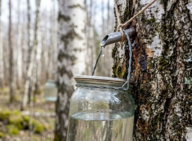 ������� ��������� ����� ���������� ����