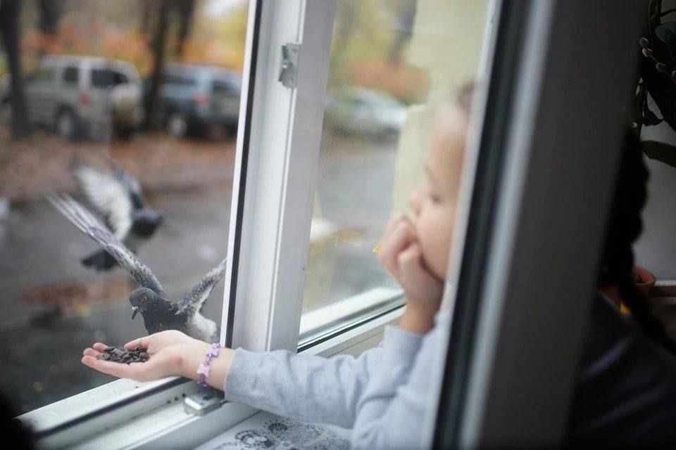 ������ � ���� ��� ����: � �������� ������� �������, ����� � ������������ ��������� ���������