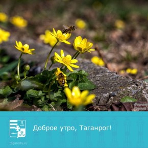 ������ ���� � � ����� � ��������!