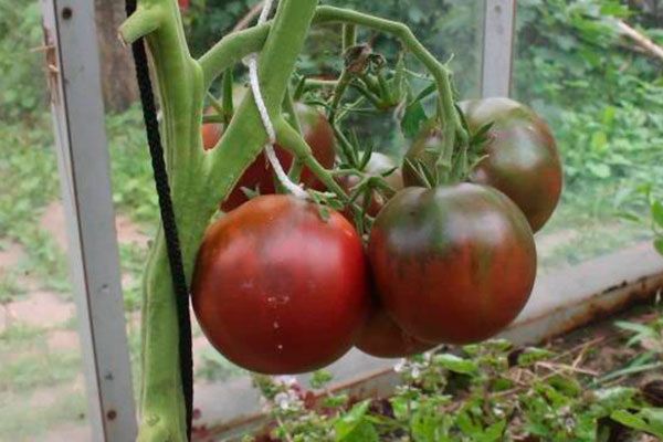 ����������� ������� �����: �� ������� �� ����� ������