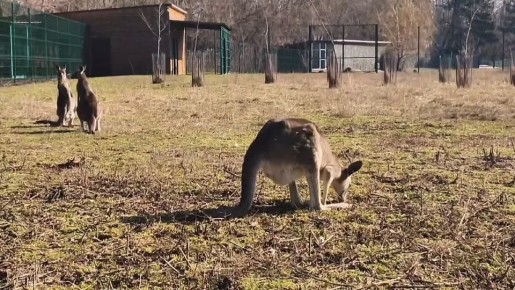 ������ ����, ������! ������� � ������� ������� ��������� �������� ������ � ������������