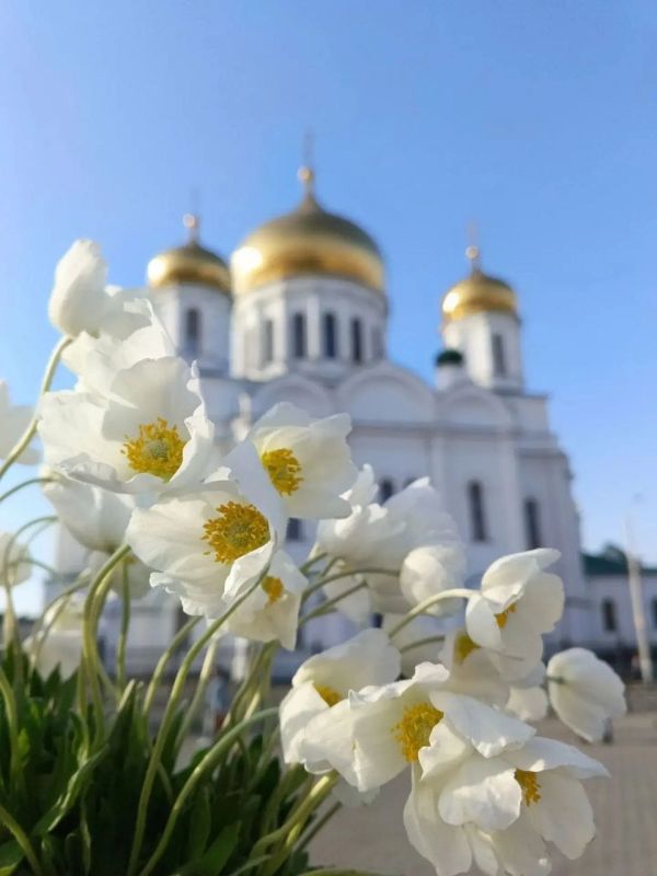 Александр Скрябин: Православные ростовчане готовятся отметить Вербное воскресенье, Благовещение Пресвятой Богородицы и Пасху