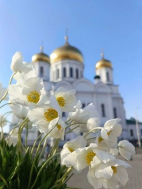 ��������� �������: ������������ ���������� ��������� �������� ������� �����������, ������������ ��������� ���������� � �����