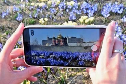 Фото из интернета может влететь в копеечку: от 10 тысяч до 5 миллионов рублей