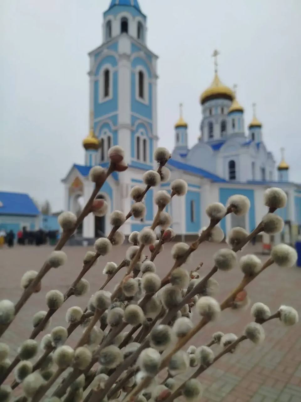 Уважаемые жители города Шахты!