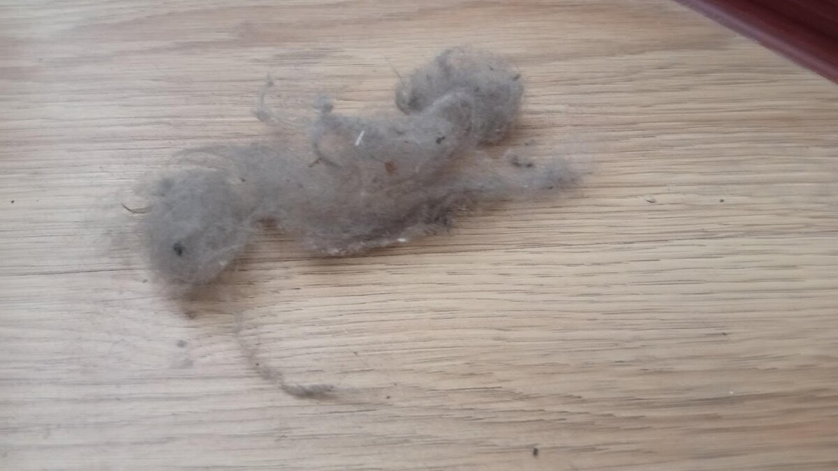 Тайные уголки домашнего уюта: как не стать заложником пыли