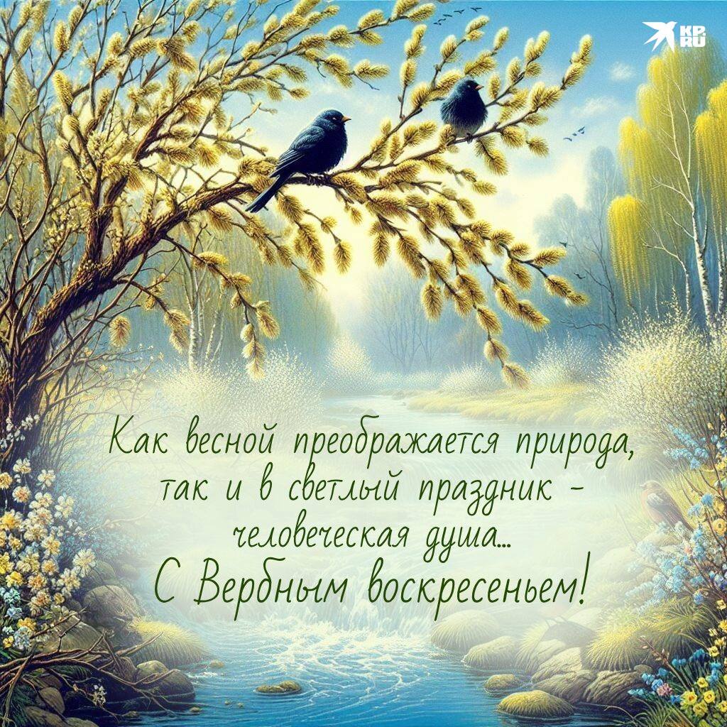Весной, за неделю до Пасхи, верующие, следуя примеру жителей Иерусалима, идут в храм встретить Иисуса Христа и символически постилают Ему под ноги пальмовые ветви или веточки вербы Весной, за неделю до Пасхи, верующие, следуя примеру жителей Иерусалима, идут в храм встретить Иисуса Христа и символически постилают Ему под ноги пальмовые ветви или веточки вербы