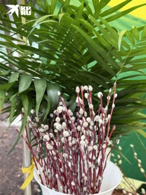 ������� ������� �����������