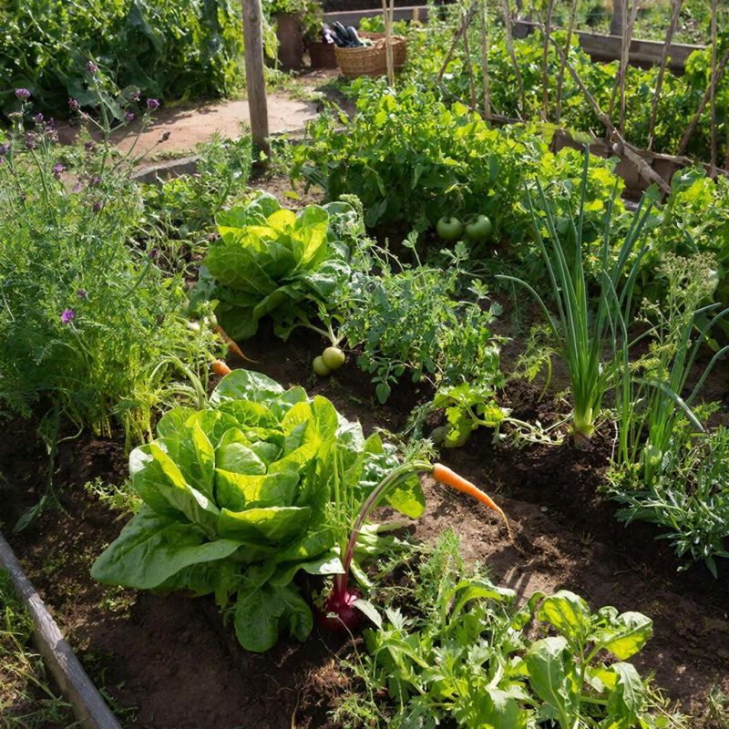 Как спасти урожай от гнили: практическое руководство для садоводов