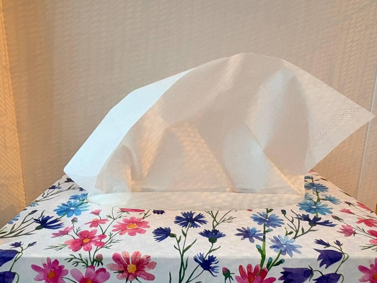 Экологи призывают: не смывайте влажные салфетки в унитаз