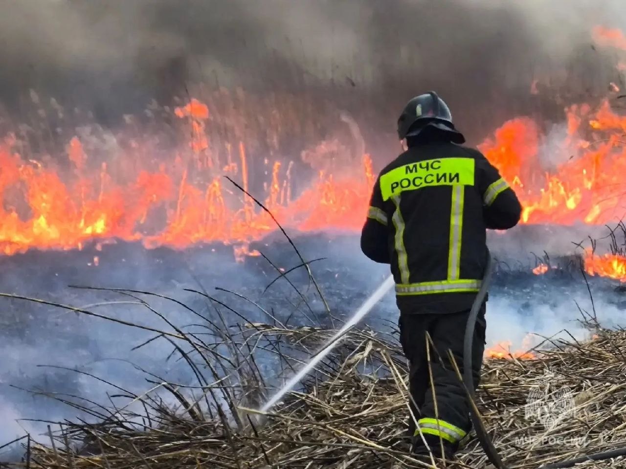 Нет кострам! С сегодняшнего дня в регионе начался пожароопасный сезон