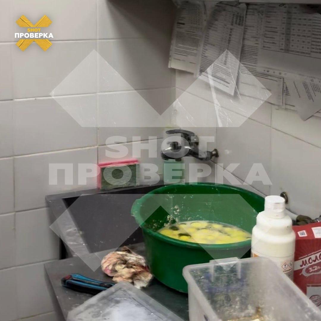 Жуткая антисанитария царит в пекарне "Хлеб да пряник" в Ростове