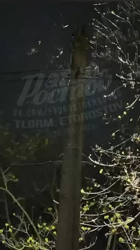 В Ростове тоже пошел снег. Также сообщают о непогоде в Азове