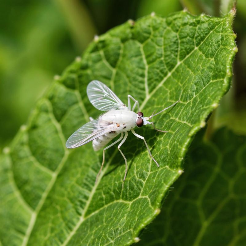 ��� ���������� � �����������: ������� ���� ��� ������ ������ ������