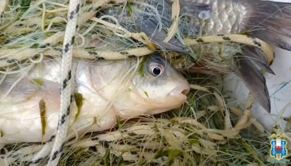 � ������������ ������ ���������� ����� ���� ���������� ���������� �����, � ����� ����� 4,5 ������ ���������� �������, ��������������� ��� ���������� ������ ��������� ����, �������� � ��� �� ���������� �������