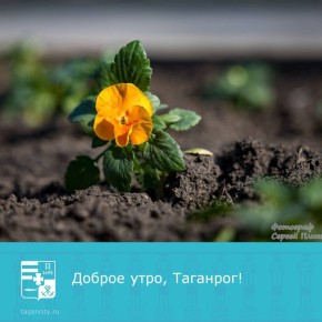 ������ ����! �������� ���������� �� ���� ����!