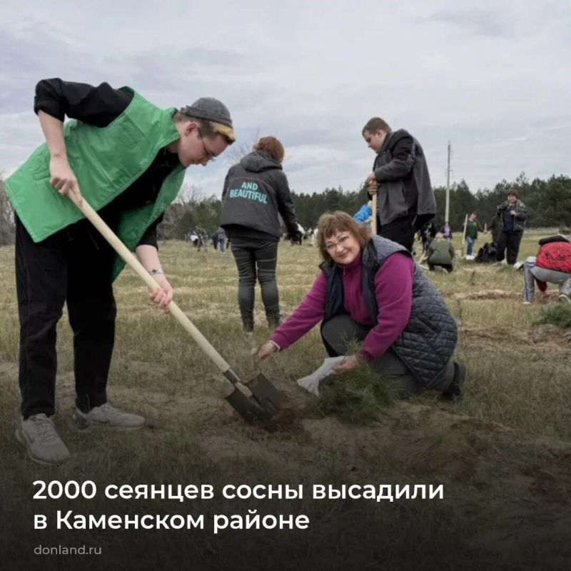 � ��������� ������ � ������ ������������� ����� �� ������������ ������ ������ ������� ������������� ����� ���� ������ �������� 2 000 ������� �����