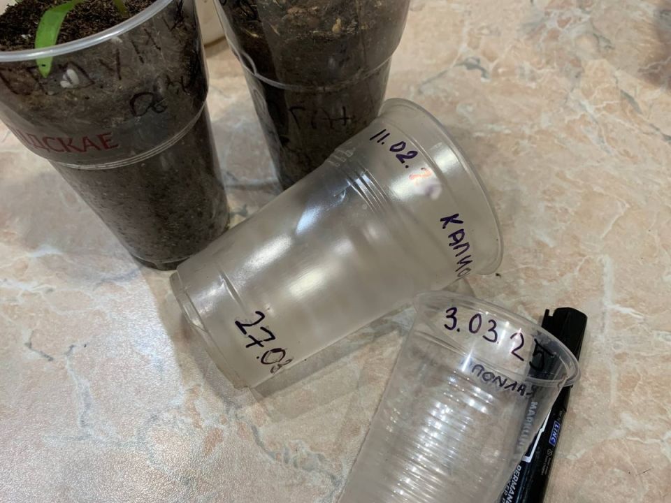 ��� ������ ���������� �� �������� �� ����������� ��� ������� ����� �� 5 ������