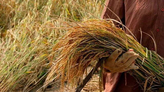 ��������� ��������� ���� � ����������������� �������������