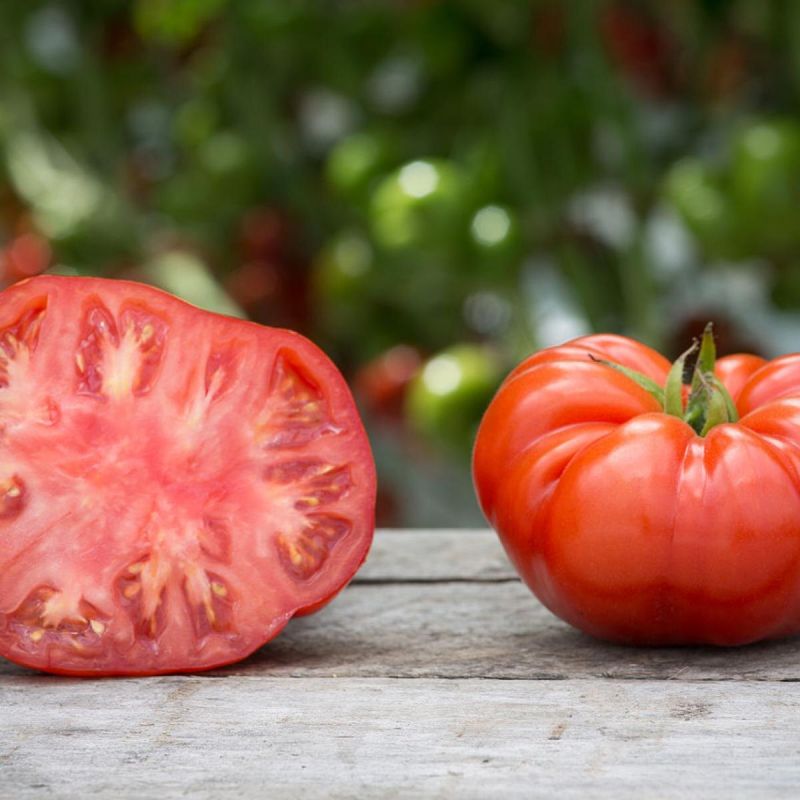 ��� ������� �������� ��������: ������ �� ����� � ������ � ����������