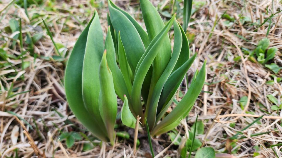 ��� ��������� �������� �������� ��� �� ������� ��������