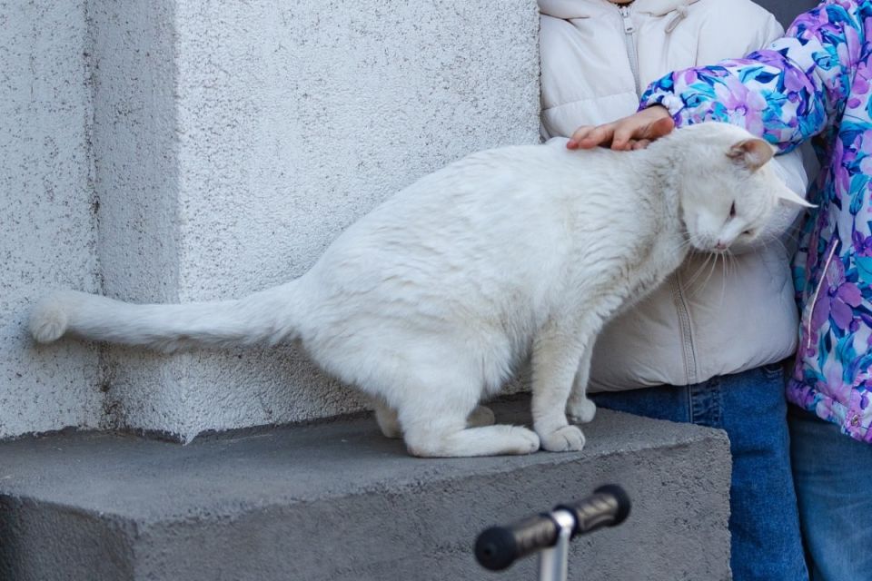 �������� �� ��������� ����� � �������