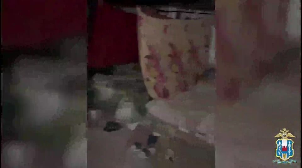 ���������� �������� � ������������ ������: ����������� ������� ���������, ��������� � ������������