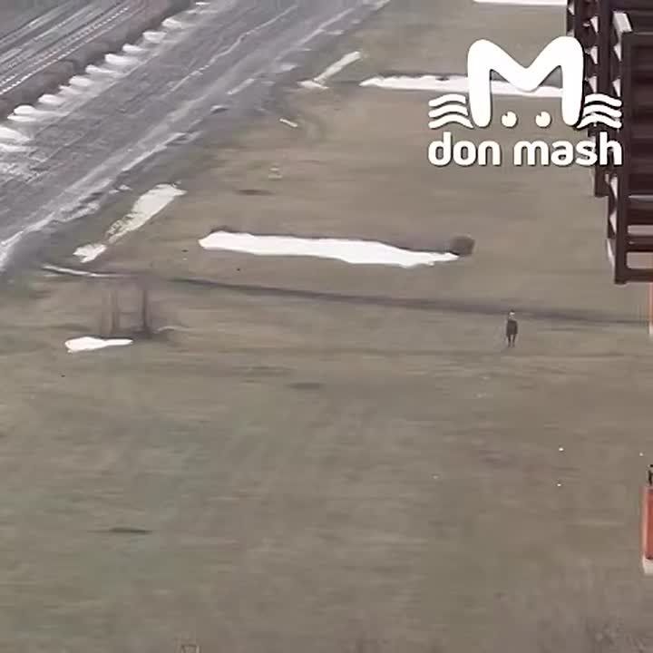 ����� ���� �������������� ������� ����������� ���������� �������� "�� ����" ������ �������, ��������� �������� "���������" ������ ������� � ������� ����� ������������� ������ ������� ������ ���������