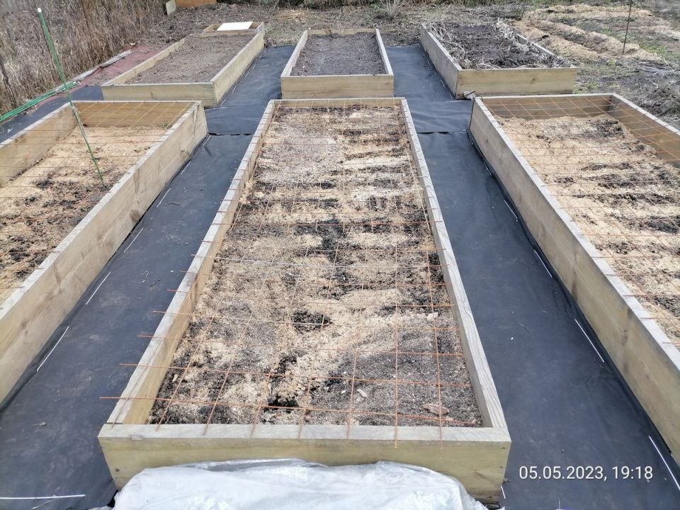 ����� ������������� ������: ��� ����������� ������ ������� � ������� ���������