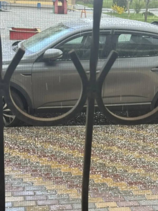 ���� ��� ������ �� ��������