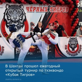 В городе Шахты состоялся ежегодный открытый турнир по тхэквондо «Кубок Тигров»