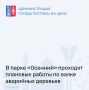 Горожане обеспокоены сносом деревьев в парке «Осенний»