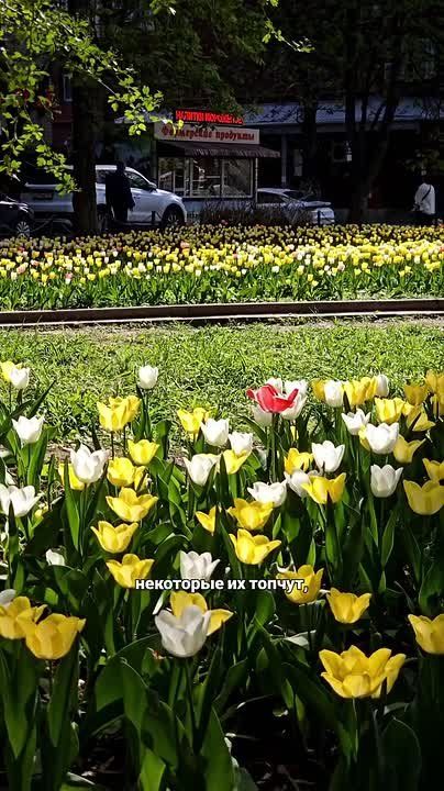 ������ ����������: ����� �� ����� ���� ������