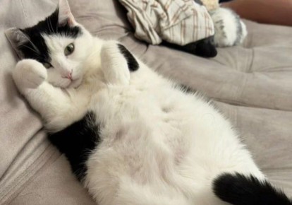 ���� �� 5 ��������� ������ ��������� �� ������� � �������