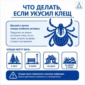 Сезон клещей начался. В Батайске уже пострадали 7 человек: 4 детей и 3 взрослых