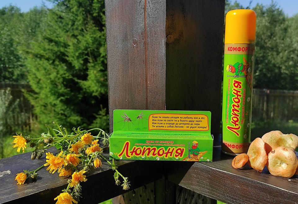 ����� ����� � ������ � ����������: ��� �������� �������� ������� ��� ����� �� �������