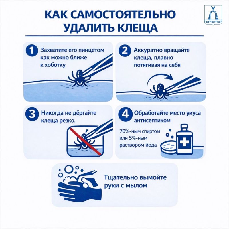 ����� ������ �������. � �������� ��� ���������� 7 �������: 4 ����� � 3 ��������