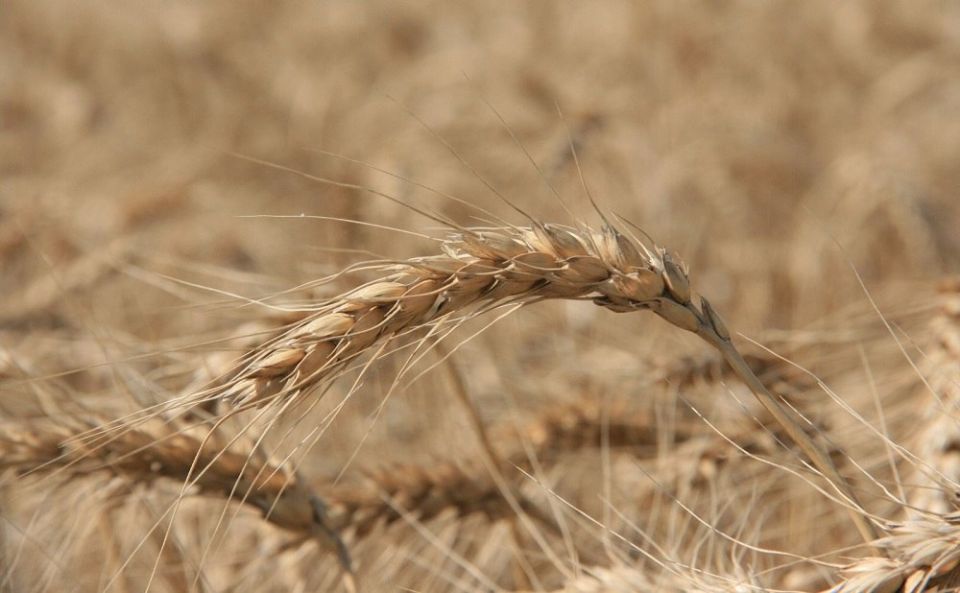 ������� �� ������� �������� ������� ����� � ������� ����������� ������������� ���������� ������� � �� ���������