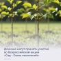 19 мая состоится ежегодная Всероссийская акция «Сад – Связь поколений» в рамках Всероссийского духовно-патриотического, социально-экологического проекта «СВЯЗЬ ПОКОЛЕНИЙ»