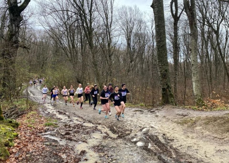 ����������� ���� �������� ��� ������������ ������� ������� ����������� �������� � ���������� ������ �� ������� ���� �����, �������� � ������������� ����� �������