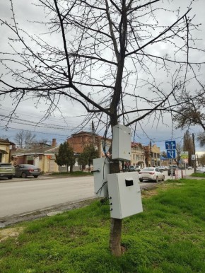 Что-то несвязно-электрическое заметили таганрожцы на дереве в переулке Смирновском