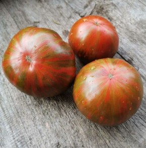 Томаты Гном Энди Страйп: необычные черри с богатым вкусом