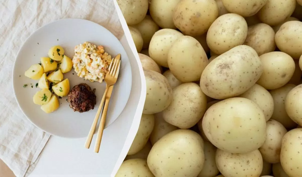 Как сделать вареный картофель мягким и рассыпчатым: секреты от опытных хозяйок