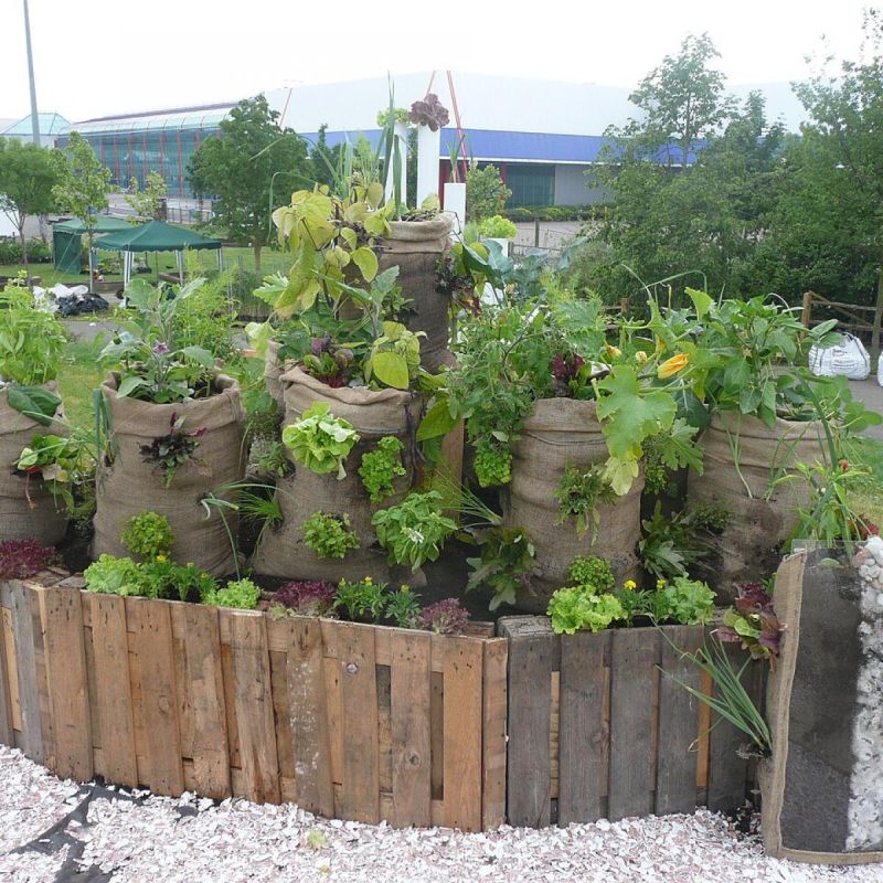 ���������� ������� ������: ��� �������� �� ������� � �������� ���� ������